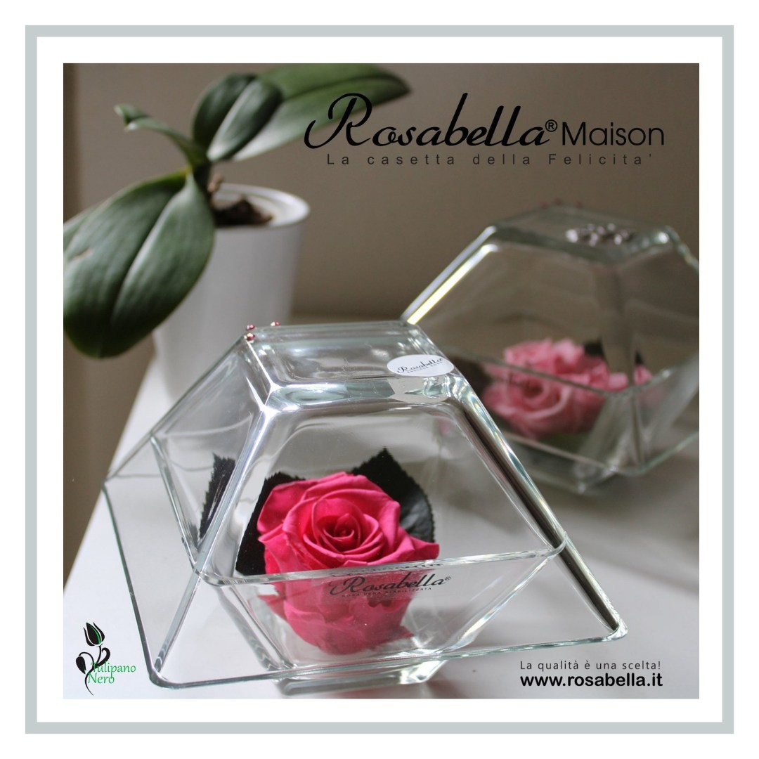 Per un regalo originale, scegli la bellezza di una rosa vera stabilizzata racchiusa nella casetta della felicità. 

Rosabella®, la tua rosa gioiello, ti aspetta nel nostro negozio.
📍 C.so Italia, 370 Ragusa
📧 info@tulipanoneroragusa.it
☎ 0932/ 1912291
📞 338 5482611
⭕ www.tulipanoneroragusa.it
#tulipanoneroragusa #rosabella #rosagioiello #rosaverastabilizzata #allestimentofloreale #allestimentipersonalizzati #wedding #ilsognodiventarealtà #lamagiadeifiori #weddingmemories #profumi #emozioni #sensations #flowers #flowerblogger #emotions #creazionihomemade #weddinglocation #allestimentosala #stile #gusto #eleganza